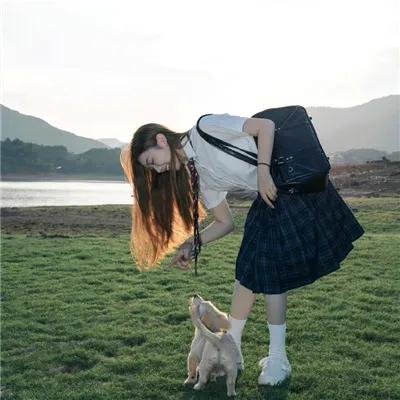 一条狗的回家路